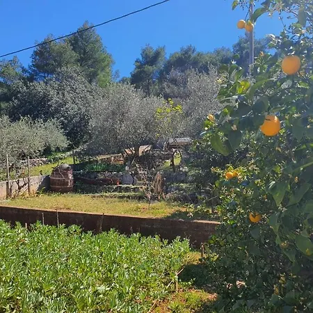 By The Sea Arbanija, Ciovo - 19456 *